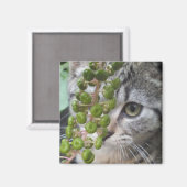 Verstecken von Kitten Magnet (Vorderseite/Rückseite)