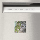Verstecken von Kitten Magnet (In Situ (Geschirrspüler))