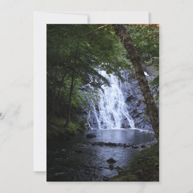 Versteckt durch die Bäume (Vorderseite)