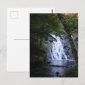 Versteckt durch die Bäume Postkarte (Vorne/Hinten)