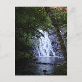 Versteckt durch die Bäume Postkarte