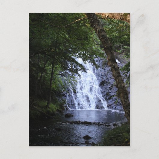 Versteckt durch die Bäume Postkarte (Vorderseite)