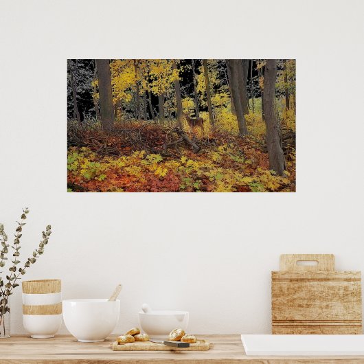 versteckt, Poster (Küche)