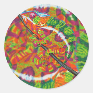 Versteckte Chamäleonaufkleber Runder Aufkleber