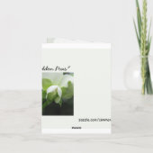 Versteckte Erbsen-kundengerechte Schablonen-Anmerk Karte (Rückseite)