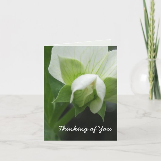 Versteckte Erbsen-kundengerechte Schablonen-Anmerk Karte (Vorderseite)