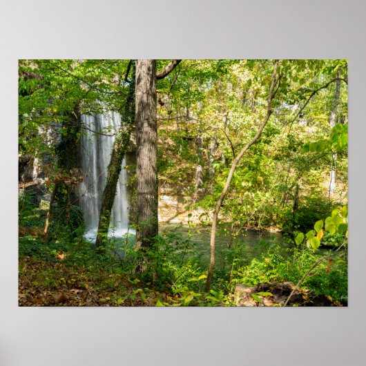 Versteckte Fälle Poster (Vorne)