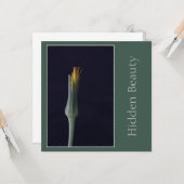 Versteckte Schönheit, elegante Blume des Single, G Karte (Vorderseite/Rückseite Beispiel)