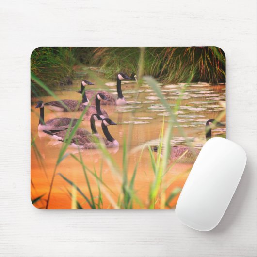 Versteckte Stille Kanadas Gänsenatur Mousepad (Mit Mouse)