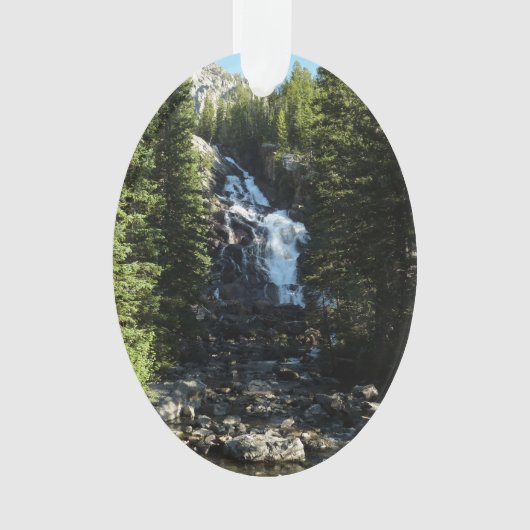 Versteckte Wasserfälle im Grand Teton Nationalpark Ornament (Vorderseite)
