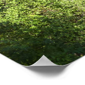 Versteckte Wasserfälle im Grand Teton Nationalpark Poster (Ecke)