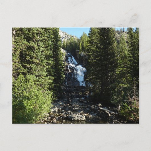 Versteckte Wasserfälle im Grand Teton Nationalpark Postkarte (Vorderseite)