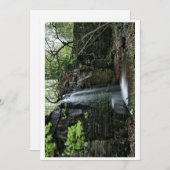 Versteckter Frühlingswasserfall Feiertagskarte (Vorne/Hinten)