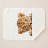 versteckter Leopard Sherpadecke (Vorderseite (Horizontal))