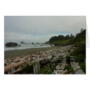 Versteckter Strand I im Redwood National Park