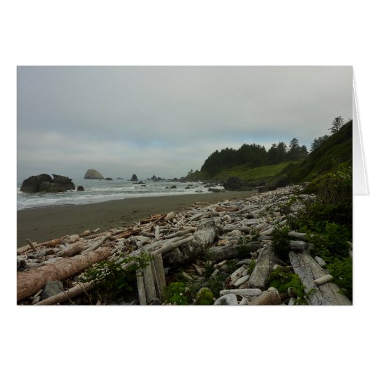Versteckter Strand I im Redwood National Park (Vorderseite (Horizontal))