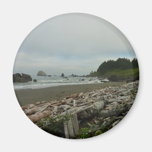 Versteckter Strand I im Redwood National Park Magnet (Vorne)