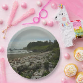 Versteckter Strand I im Redwood National Park Pappteller (Party)