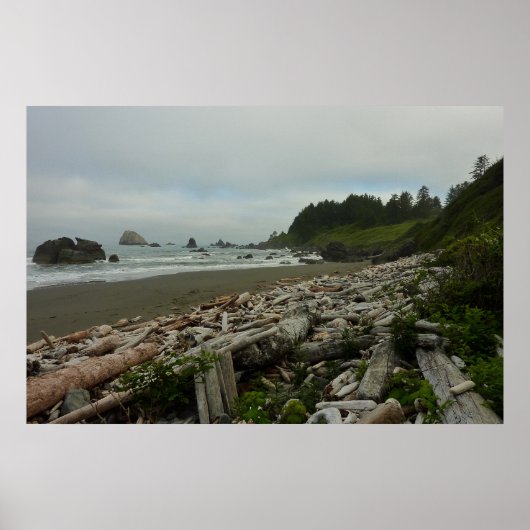 Versteckter Strand I im Redwood National Park Poster (Vorne)