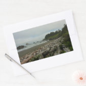 Versteckter Strand I im Redwood National Park Rechteckiger Aufkleber (Umschlag)