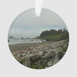 Versteckter Strand I im Redwood-Nationalpark Ornament