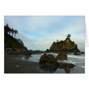 Versteckter Strand II im Redwood National Park