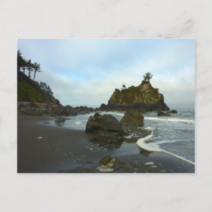 Versteckter Strand II im Redwood National Park Postkarte