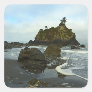Versteckter Strand II im Redwood National Park Quadratischer Aufkleber