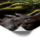 Versteckter Tempel Poster (Ecke)