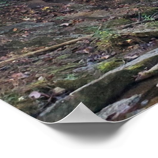 Versteckter Waldfall Poster (Ecke)