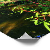 Versteckter Wasserfall Poster (Ecke)