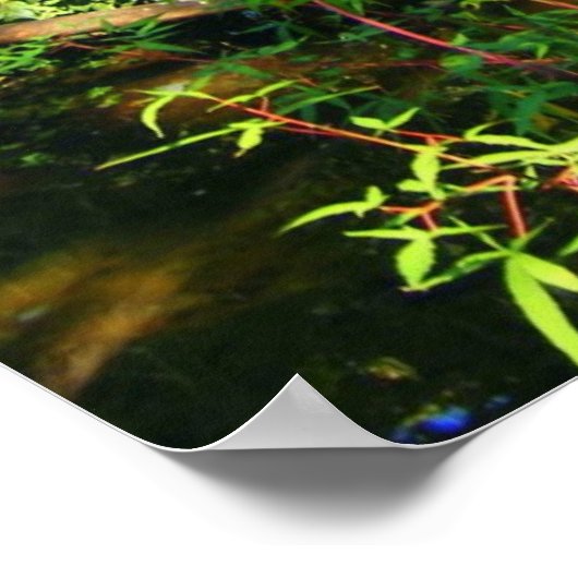 Versteckter Wasserfall Poster (Ecke)