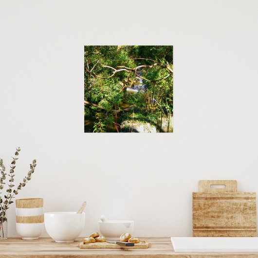 Versteckter Wasserfall Poster (Küche)