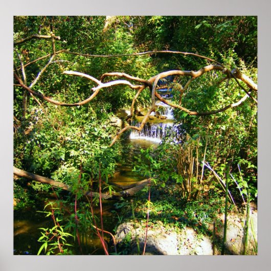 Versteckter Wasserfall Poster (Vorne)