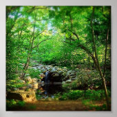 Versteckter Wasserfall Poster (Vorne)
