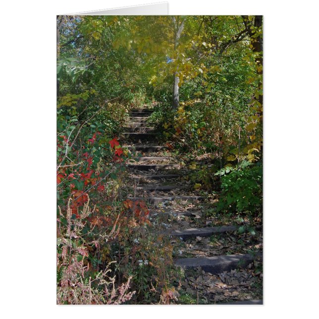 Verstecktes Treppenhaus (Vorne)