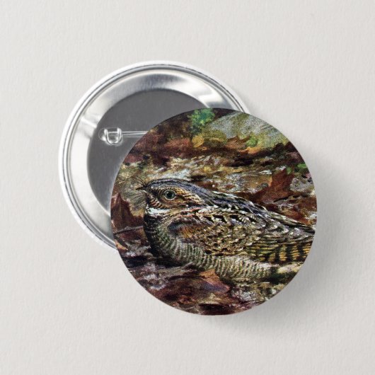 Verstecktes Whippoorwill Button (Vorne & Hinten)