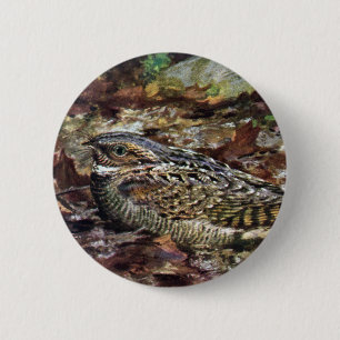 Verstecktes Whippoorwill Button