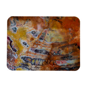 Versteinerte Holzbraun Magnet