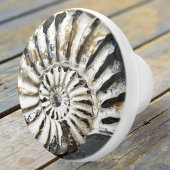 Versteinerte Nautical Fossil Spiral Keramik Knob Keramikknauf
