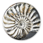 Versteinerte Nautical Fossil Spiral Keramik Knob Keramikknauf (Vorderseite)