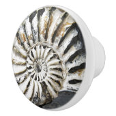 Versteinerte Nautical Fossil Spiral Keramik Knob Keramikknauf (Rechts)