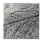 Versteinerte Pflanze Fliese (Vorderseite)