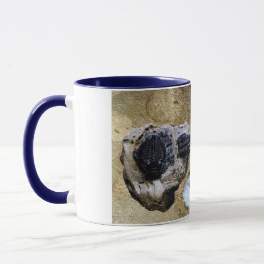 Versteinerte Tasse (Links)