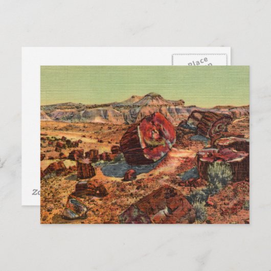 Versteinerte Wälder Vintage Postkarte (Vorne/Hinten)