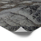 versteinerte Waldflächen Poster (Ecke)