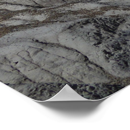 versteinerte Waldflächen Poster (Ecke)