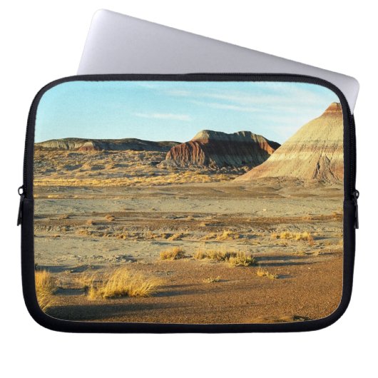 versteinerte Waldwüste Laptopschutzhülle (Vorderseite)