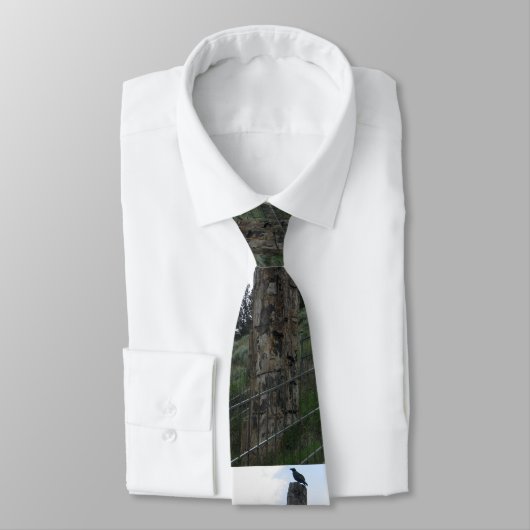 Versteinerter Baum Krawatte (Gebunden)