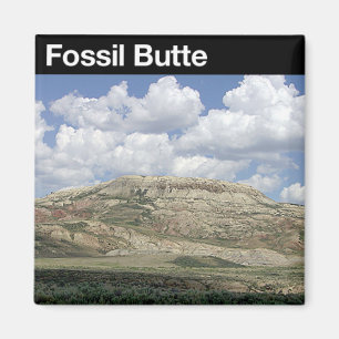Versteinerter Butte-nationales Monument Magnet